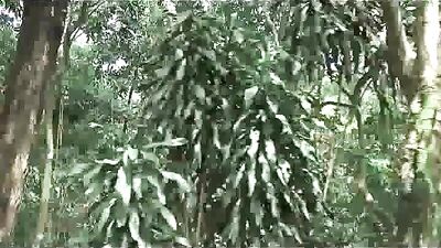 Garden Workout: A Real Thrill Ride!!