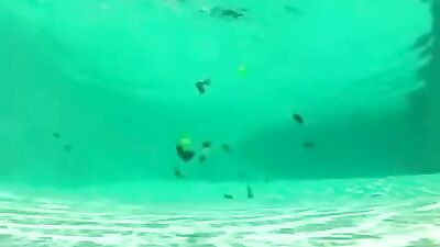 Wet & Wild Bareback Orgy: Blond Boys in the Pool!