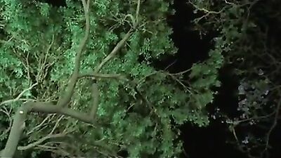 Bedroom Action: Take it to the Limit