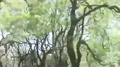 Home from the Park - A Bareback Action Adventure or Bareback Bounty Hunters of the Park or Park Prowlers: Raw and Rough Action