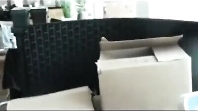 Ajays Gay Adventure: A Gorgeous Mover Boy First Time Fun