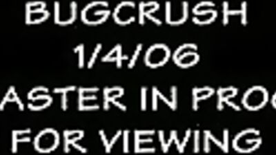 BUG CRUSH (2006) Intense Short, Horror