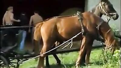 Gay Porn Farm Frenzy: Action-Packed Group Sex on the Ranch!