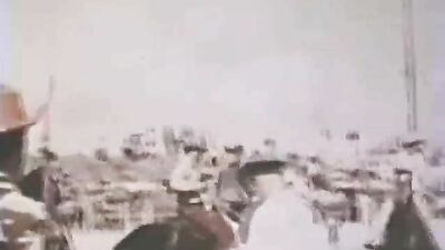 WILD WATER Vintage Collection: A Journey to Gay Eroticism