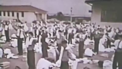 WILD WATER Vintage Collection: A Journey to Gay Eroticism