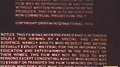 Vintage Lust: The End of Peepshow Loops