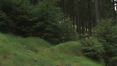 Out for an X-rated Walk: Action Oral Adventure