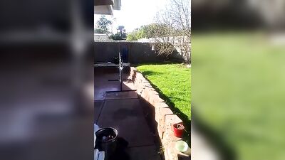 Amateur Cum Shots Handjob: Upgraded - Cam 1762