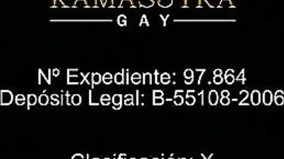 Gay Kamasutra: Exploring Ecstasy Through Bareback Action