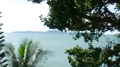 Gentle Asian Action Brothers: The Ultimate Gay Porn Experience