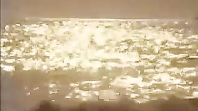 Long boards: A Gay Porn Video Explosion!