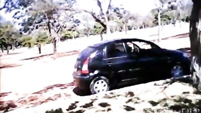 In The Car: Public Action Oral Outside