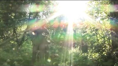 Lakefront Bareback Threesome: Action-Packed Group Sex!