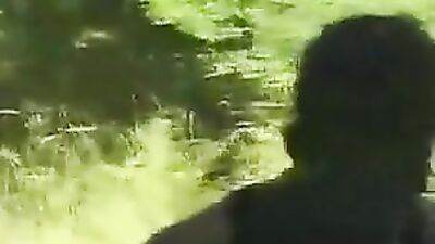 Forest Delights: A Multitude of Schlongs Seeking Pleasure