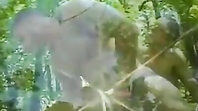 Forest Delights: A Multitude of Schlongs Seeking Pleasure