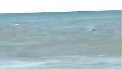 Gay Porn Beach Hotel Heat: Action Bareback Group Sex 190 characters