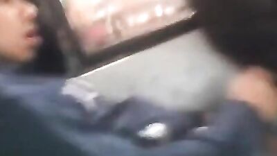 Bus Stallion: Latino Thrills Inside!