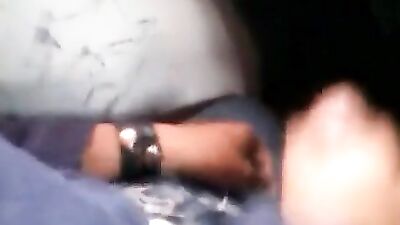 Bus Stallion: Latino Thrills Inside!