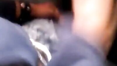 Bus Stallion: Latino Thrills Inside!