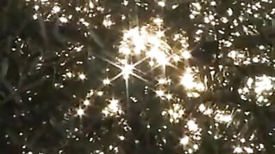 Busy on the Farm - Gay Porn Action Video