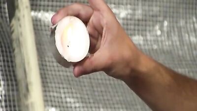 SM Fetish Oral Handjob: Hardcore Gay Porn Video - The Ultimate Guide to Manual Stimulation and Blowjob Pleasure!