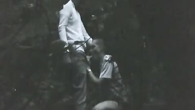 Woodland Pursuit - Amateur Web-Cam Action