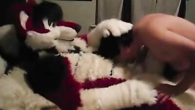 Furry Fetish Breeding: Amateur Action Reignited!