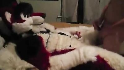 Furry Fetish Breeding: Amateur Action Reignited!