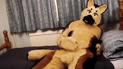 Furry Fetish Amateurs Cum Shots - Sheppy 02 Revisited