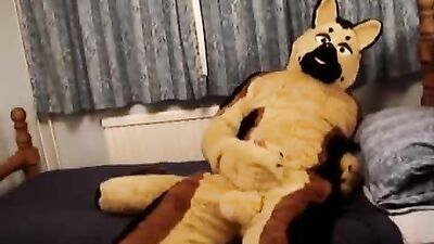Furry Fetish Amateurs Cum Shots - Sheppy 02 Revisited