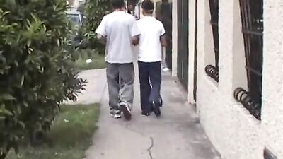 Latino Lads Bareback Paradise!