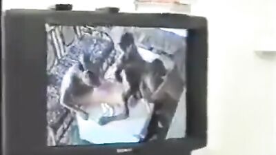 Young and Blissful Twinks: The Ultimate Cum Shot Collection