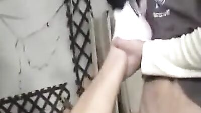 Gay Porn: Action Mix - Enjoy a Wank and Suck!