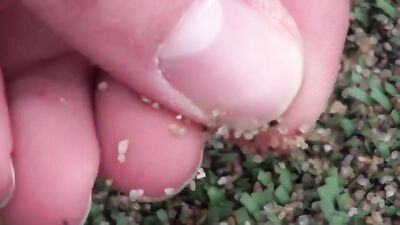 Jerromes Juicy Big Ass - Unleashed in Tight Jeans