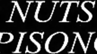 Gay Porno Explosion - Yurttr: The Ultimate XXX Experience!