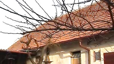 Quick Suck and Wank in the Yard: Hardcore Gay Outdoor Action