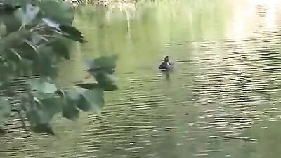 Bareback on the Red Bed: Action-Packed Gay Porn!