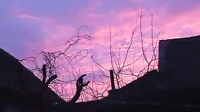 Gay Porn Measurement Checkers: Hardcore Bareback Action