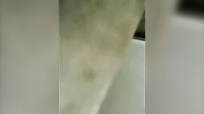 Spy in the Toilet: Action-Packed Gay Porn Adventure!