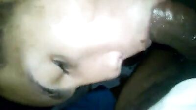 Stallion Riders: The Ultimate Gay Porn Adventure