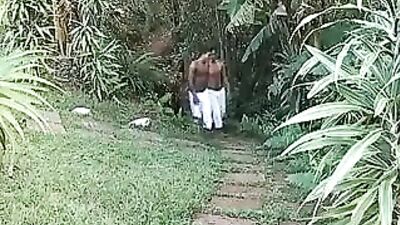 Garden Path Action: The Ultimate Thrill Ride