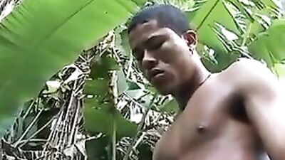 Garden Path Action: The Ultimate Thrill Ride