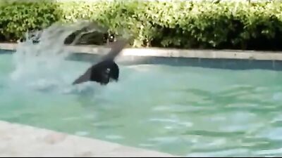 Pound my white ass with your black cock!