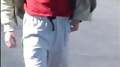 The Fox and the Goat