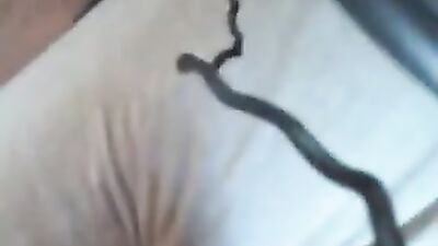 Cutie Gay Couples Steamy Oral and Cum Shots Adventure!