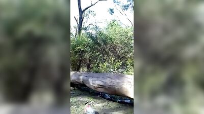 Sagging Humping: Amateur Bisexual Ass Play - A Gay Porn Video with a Twist!